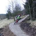 Park Wood